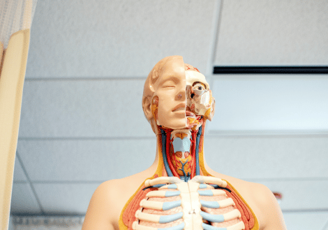 5d769a86 Nhia Moua F4cjti7hcmw Unsplash 1